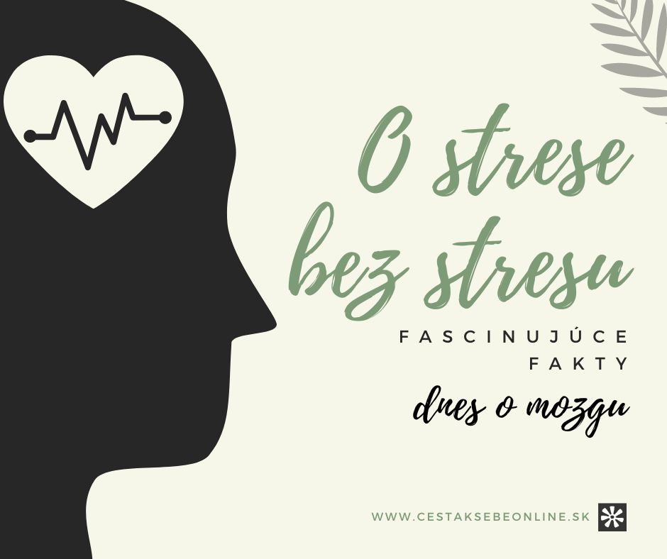 O strese bez stresu - fascinujúce fakty o mozgu